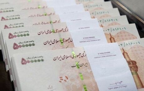 ۱۱ بانک دولتی اسامی بدهکاران کلان بانکی را اعلام کردند