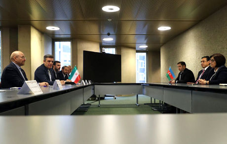 دیدار و گفت و گوی روسای مجلس ایران و جمهوری آذربایجان در ژنو