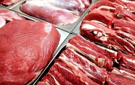 واردات گوشت همچنان ادامه دارد