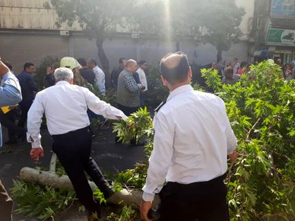 سقوط درخت، خیابان ولیعصر را مسدود کرد