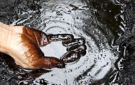 قیمت نفت برنت کاهش یافت