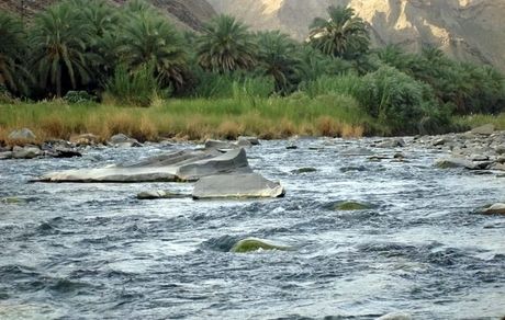 ۵ نفر در رودخانه سرباز غرق و جان باختند