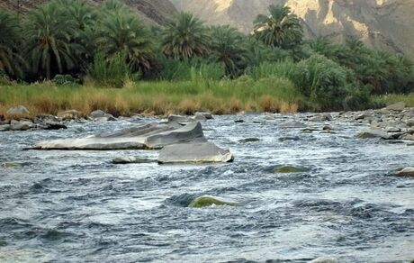 ۵ نفر در رودخانه سرباز غرق و جان باختند