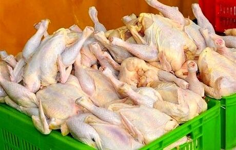 ۵۰ هزار تن گوشت مرغ وارد خواهدشد