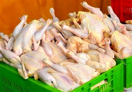 ۵۰ هزار تن گوشت مرغ وارد خواهدشد