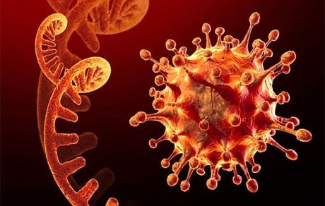 اومیکرون به ۱۱۰ کشور جهان رسید