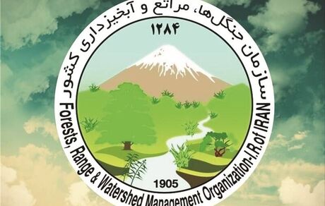 انحلال سازمان منابع طبیعی فعلا منتفی شد