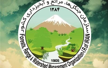 انحلال سازمان منابع طبیعی فعلا منتفی شد