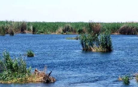 تکذیب وقوع انفجار در تالاب هورالعظیم