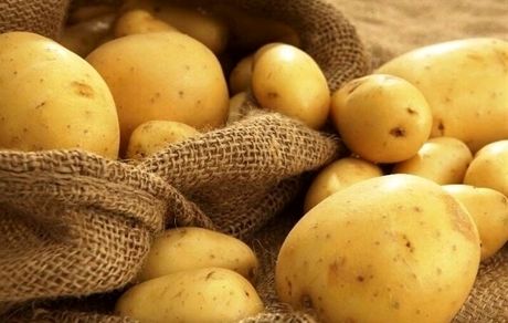 ممنوعیت صادرات سیب زمینی و پیاز