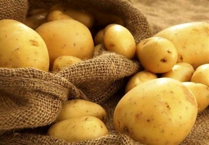 ممنوعیت صادرات سیب زمینی و پیاز