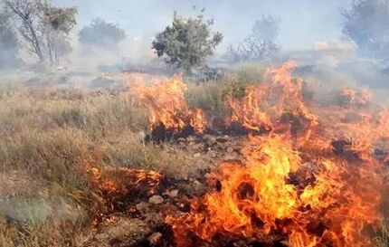 مراتع گریوان دوباره آتش گرفت