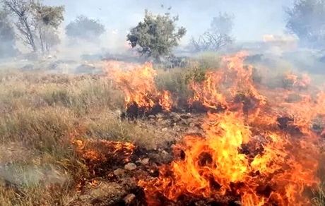 مراتع گریوان دوباره آتش گرفت