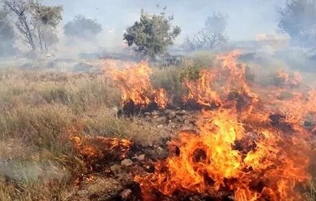 مراتع گریوان دوباره آتش گرفت
