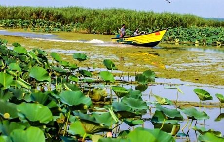 کلانتری خواستار توقف ثبت سند ۴۲ تالاب به‌ نام وزارت نیرو شد