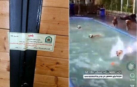 پلمب کافه سگ‌ها در تهران