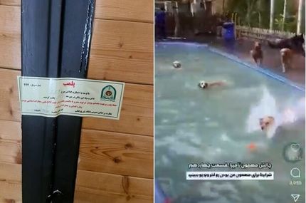 پلمب کافه سگ‌ها در تهران