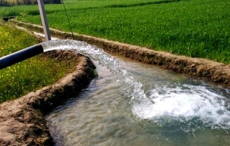 بنیاد ملی گندمکاران از وزارت نیرو شکایت می‌کند