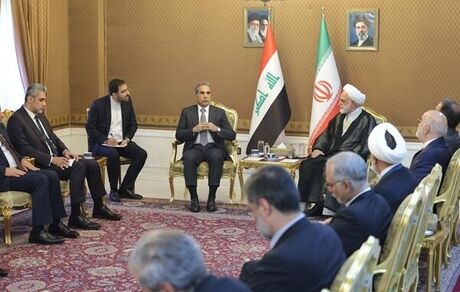 استرداد ۱۳۱ محکوم ایرانی از زندان‌های عراق در سال گذشته