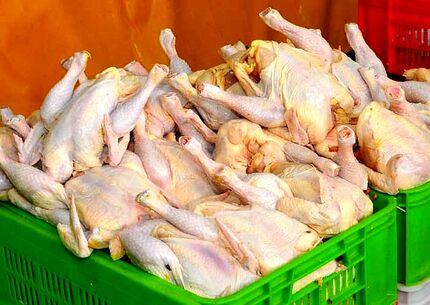افزایش ۸۲ درصدی قیمت مرغ/ واردات ۲.۹ میلیارد دلاری ذرت و سویا