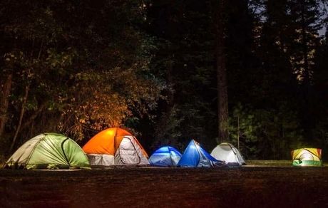 ممنوعیت اقامت شبانه در جنگل‌های آمل