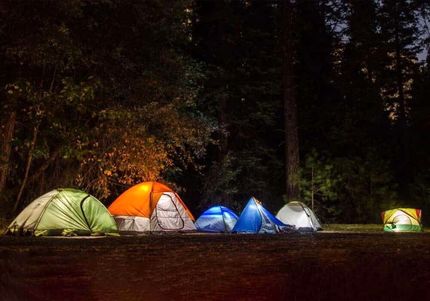 ممنوعیت اقامت شبانه در جنگل‌های آمل