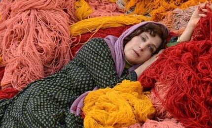 «بنفشه آفریقایی» به آمریکا رفت