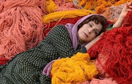 «بنفشه آفریقایی» به آمریکا رفت