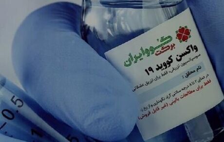 تزریق واکسن کووبرکت در مشهد آغازشد