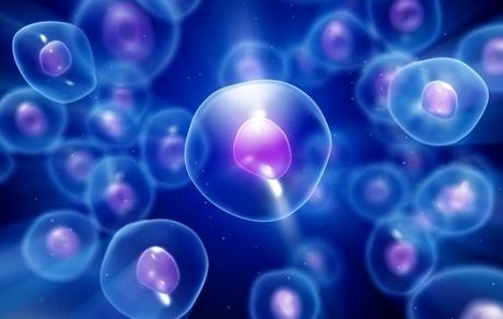 ثبت بیش از ۵ هزار میلیارد ریال فروش در حوزه سلول‌های بنیادی