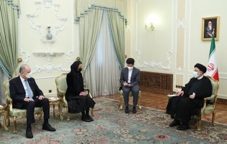ایران و استونی ظرفیت‌های همکاری متنوعی در عرصه‌های مختلف دارند