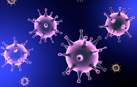 ما ویروس «پول» گرفته‌‎ایم نه کرونا!
