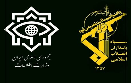 دستگیری عناصر یک شبکه تندرو سلفی - تکفیری در سرپل‌ذهاب
