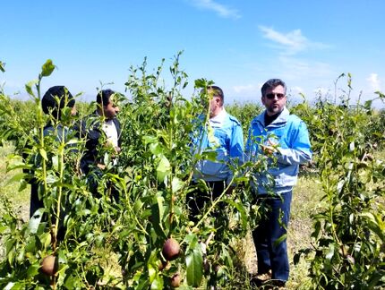 خسارت سنگین سیلاب و تگرگ به مزارع و باغات ۱۶ روستای مشگین شهر