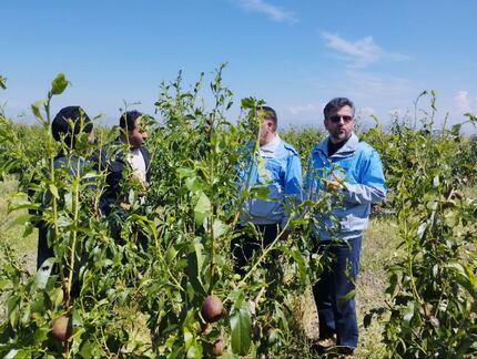 خسارت سنگین سیلاب و تگرگ به مزارع و باغات ۱۶ روستای مشگین شهر