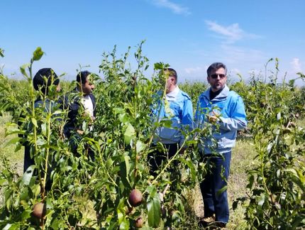 خسارت سنگین سیلاب و تگرگ به مزارع و باغات ۱۶ روستای مشگین شهر