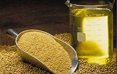 ثبت سفارش جدید دانه‌های روغنی و کنجاله از ۱۲ آبان آغاز می‌شود