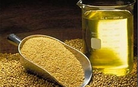 ثبت سفارش جدید دانه‌های روغنی و کنجاله از ۱۲ آبان آغاز می‌شود