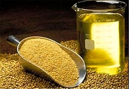 ثبت سفارش جدید دانه‌های روغنی و کنجاله از ۱۲ آبان آغاز می‌شود