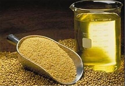 ثبت سفارش جدید دانه‌های روغنی و کنجاله از ۱۲ آبان آغاز می‌شود