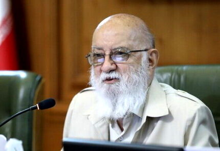 رئیس شورای شهر تهران: ممنوعیت ورود سگ‌ها به پارک‌ها براساس قانون است