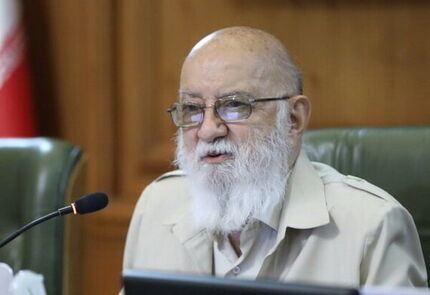 رئیس شورای شهر تهران: ممنوعیت ورود سگ‌ها به پارک‌ها براساس قانون است