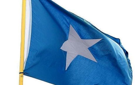 لغو توافقات سومالی با امارات