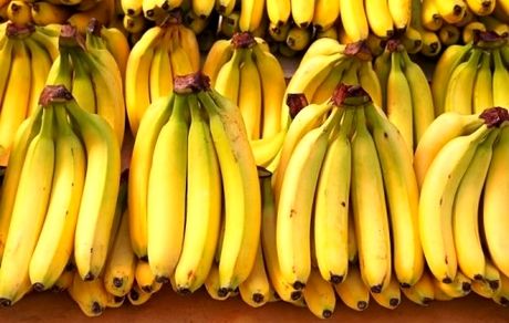 انحصار "واردات موز در ازای صادرات سیب" رانت ایجاد کرده است