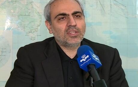استقرار سیستم یکپارچه مدیریت مالی دولت تا پایان سال