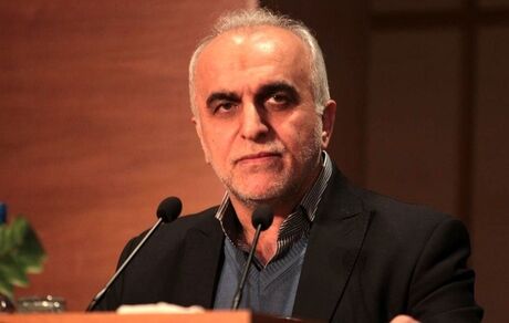 وزیر اقتصاد: تنها ۱۰ درصد اموال مازاد بانکها متقاضی داشت
