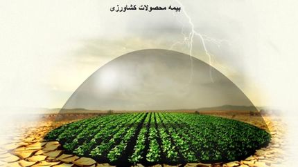 بیمه محصولات اساسی اجباری میشود