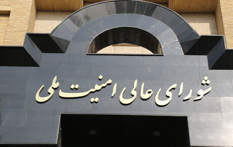 واکنش دبیرخانه شورای عالی امنیت ملی به ادعای یک مقام اوکراینی درخصوص سقوط هواپیما