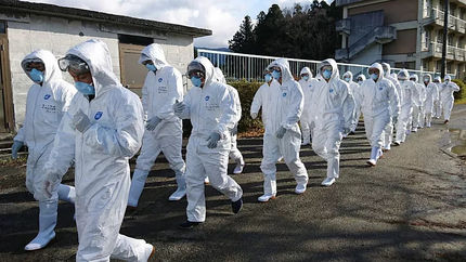 کمبود زمین در ژاپن برای دفن جوجه‌های مبتلا به آنفلوآنزای پرندگان