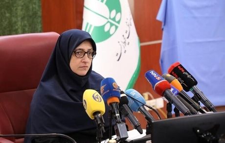 موضوع انتقال پایتخت صرفا مرتبط با آلودگی هوا نیست / مازوت سوزی متوقف نشده است